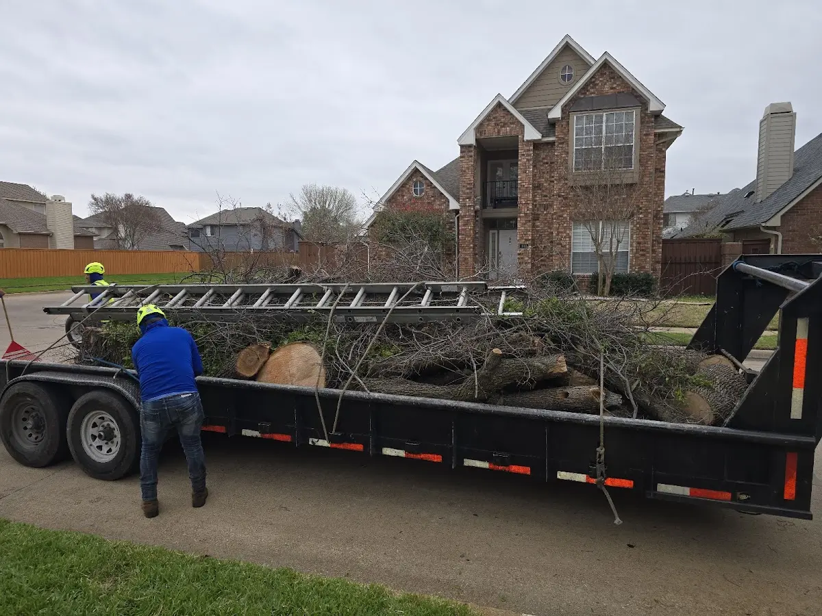 Expert Lot Clearing with proper safety equipment in Sapello